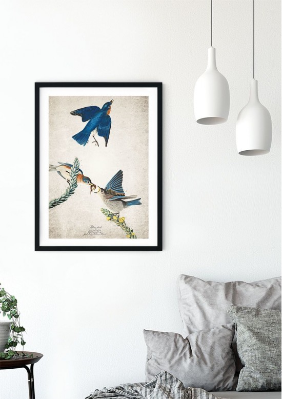Bluebird Giclee Print