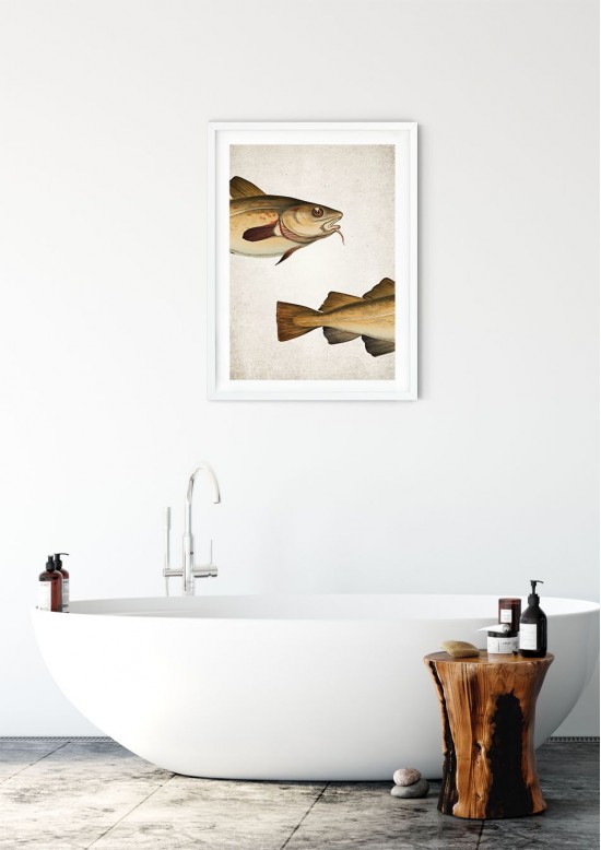 Cod Fish Giclee Print