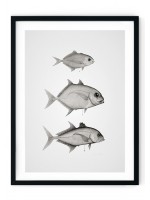 Black & White Fish Giclee Print