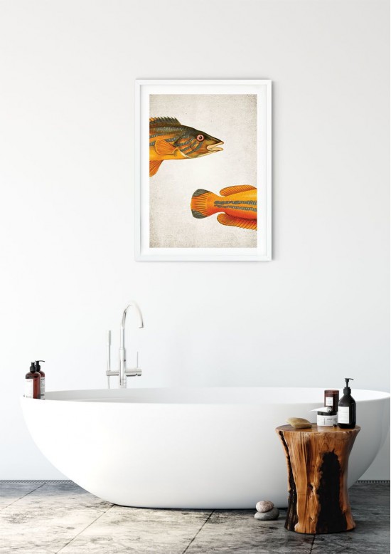 Cook Fish Giclee Print