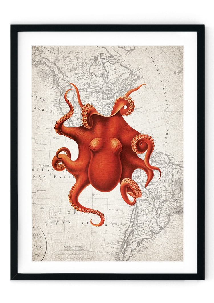 Octopus Map Giclee Print