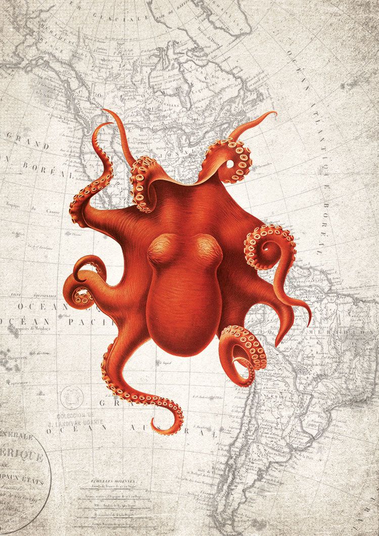 Octopus Map Giclee Print Bathroom Wall Art & Prints from Vintiko