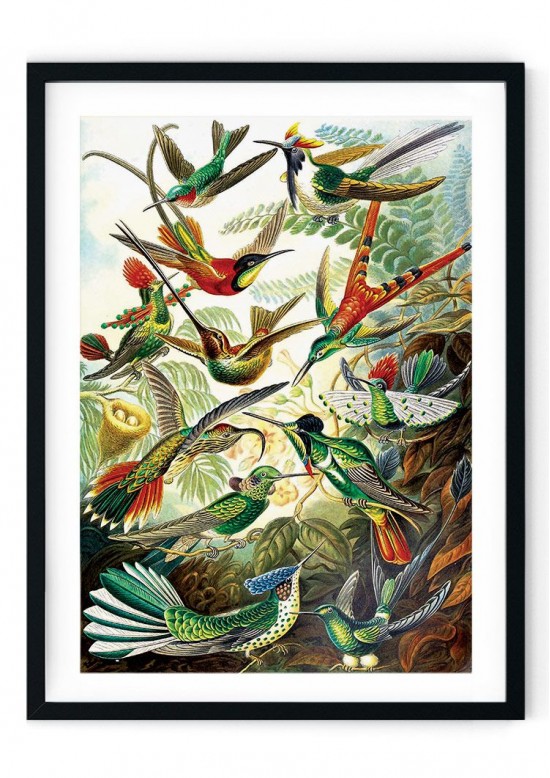Hummingbird Scene Giclee Print