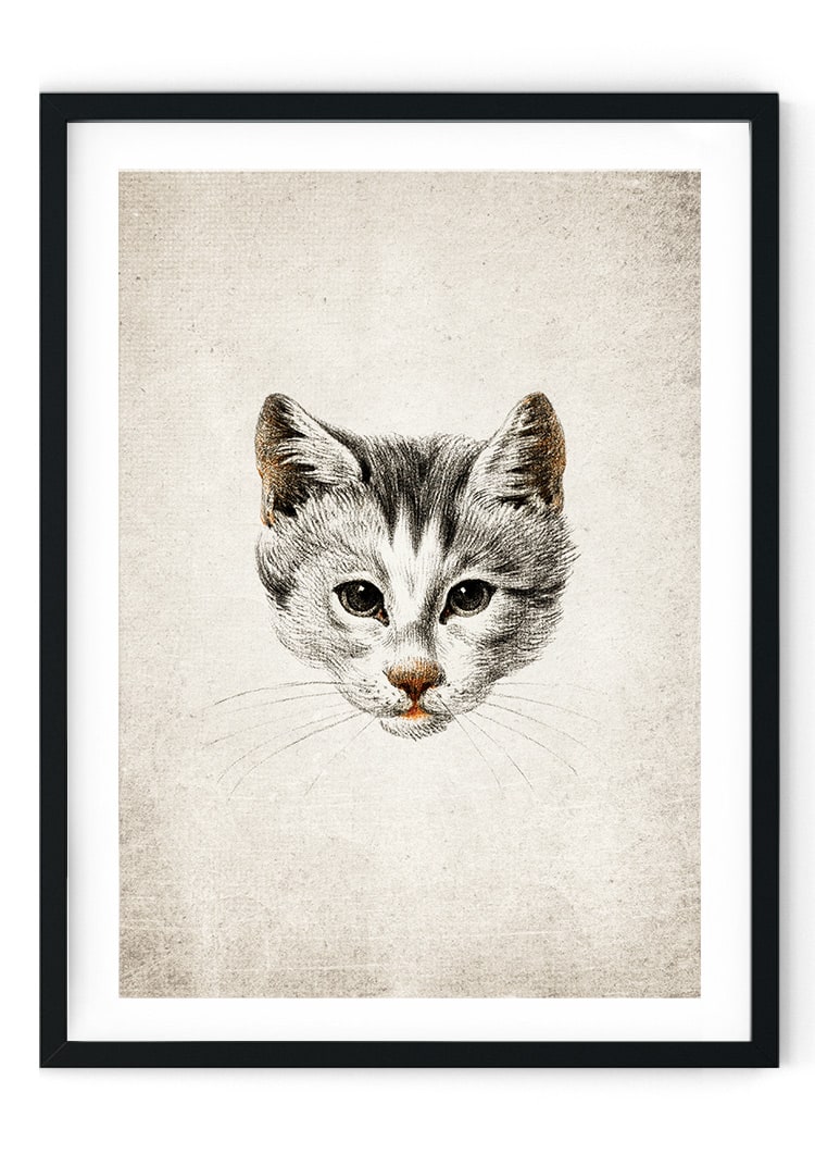 Cat Face Giclee Print