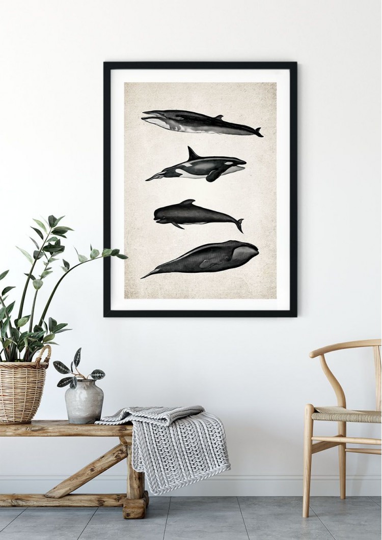 Whale Group Giclee Print