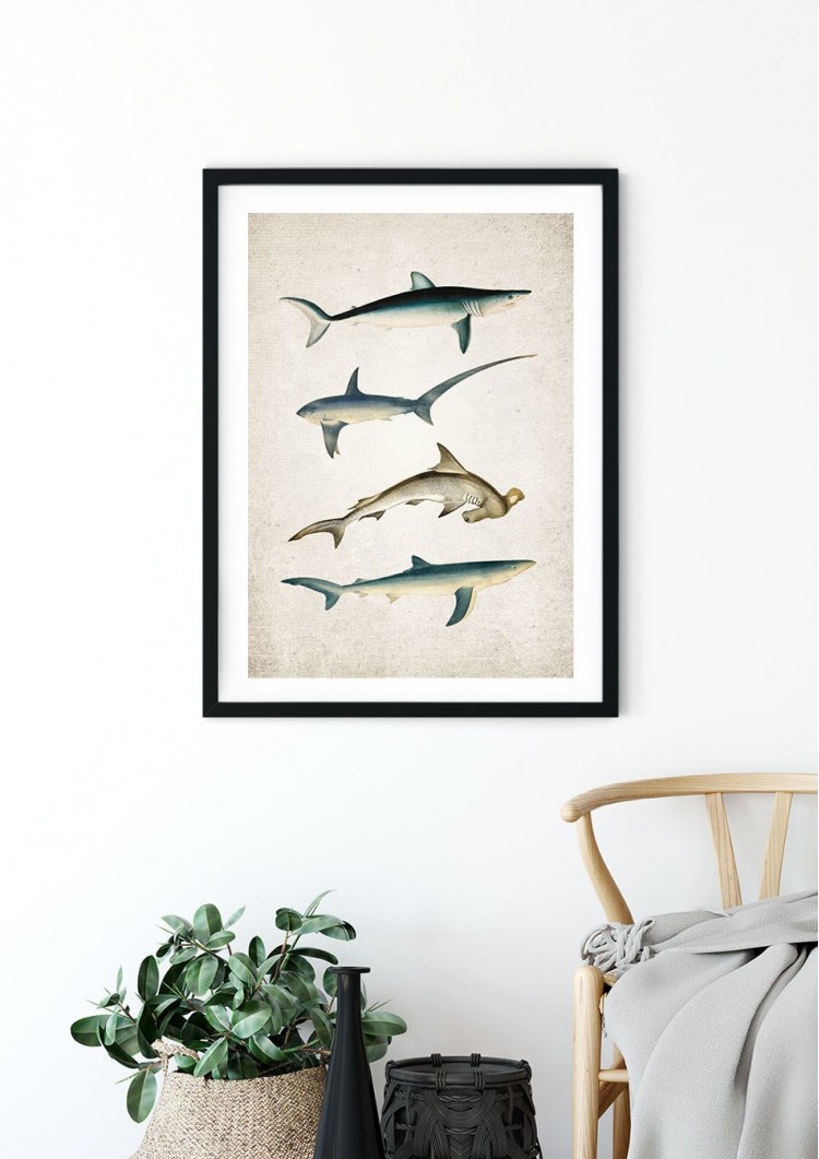 Shark Giclee Print