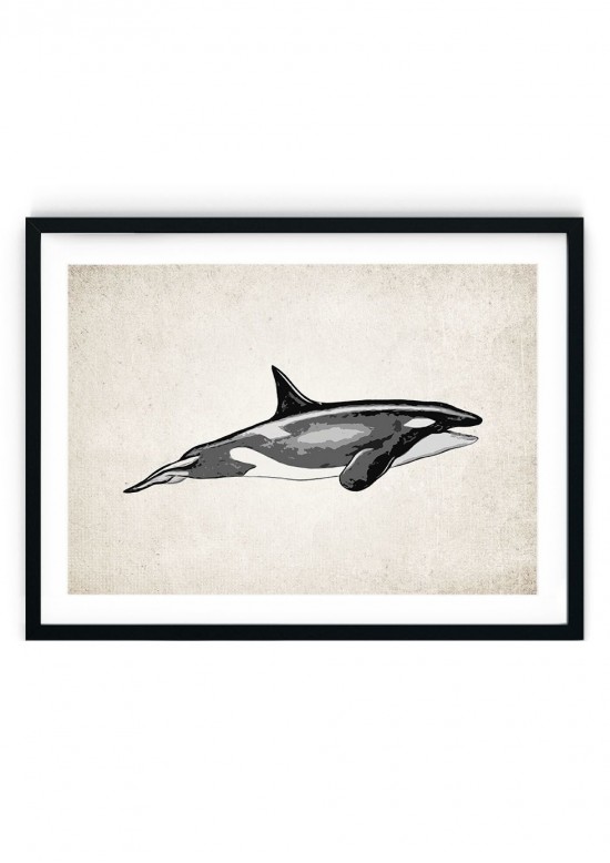 Killer Whale Orca Giclee Print