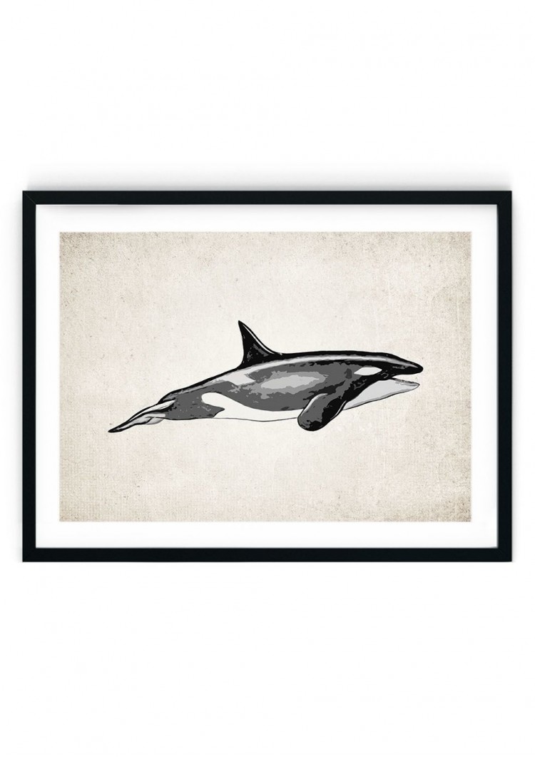 Killer Whale Orca Giclee Print