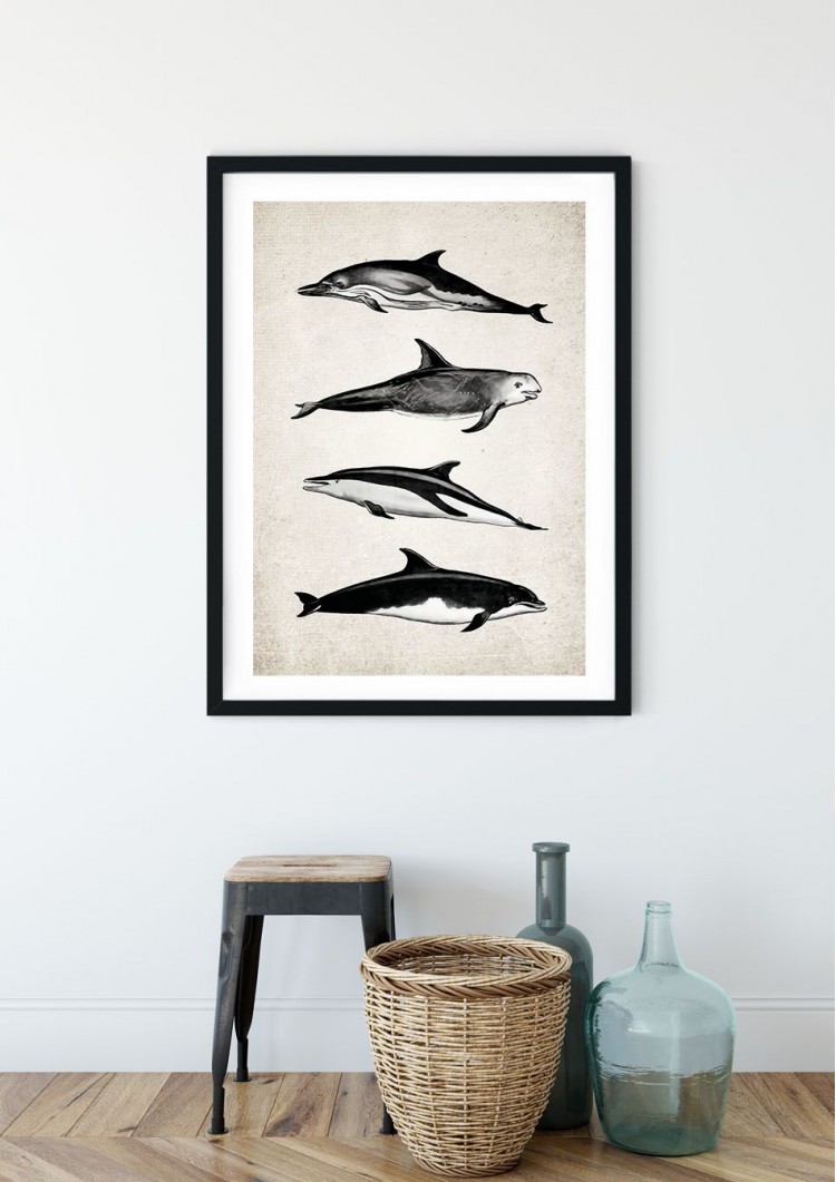 Dolphin Group Giclee Print