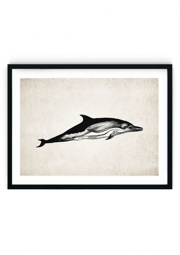 Dolphin #1 Giclee Print