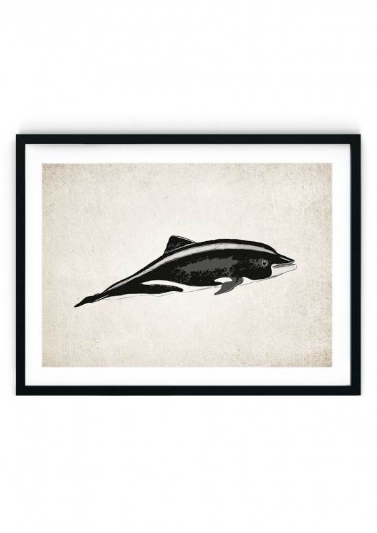 Dolphin #3 Giclee Print