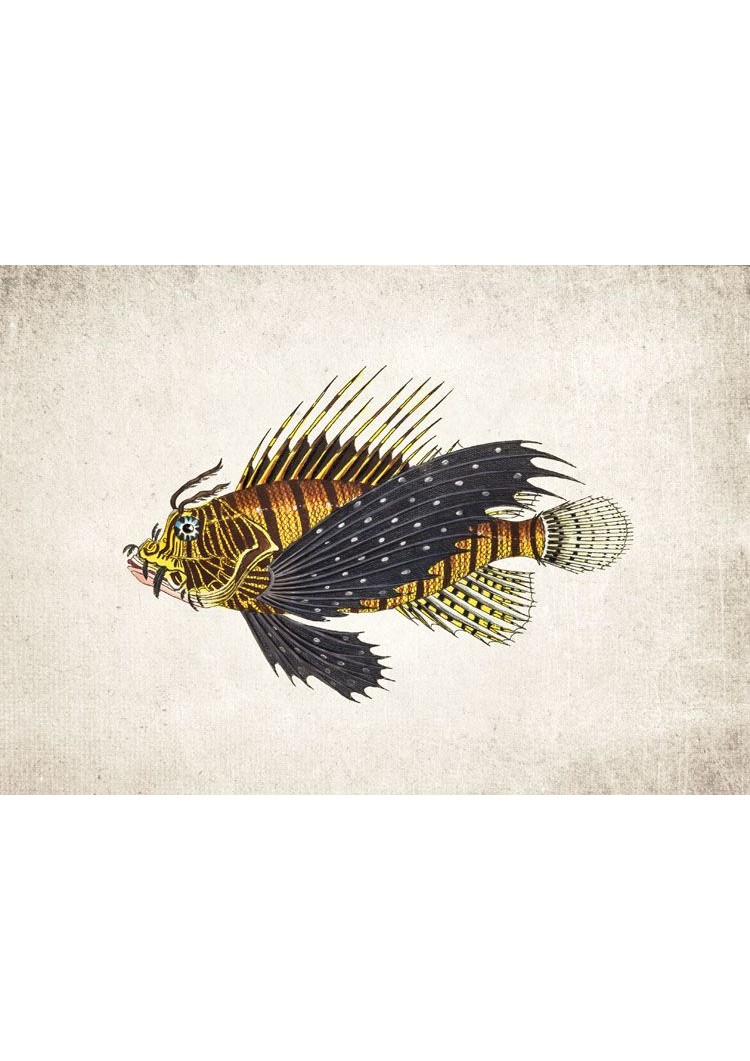 Dragon Fish Giclee Print