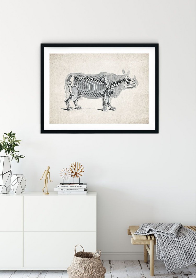 Rhino Anatomy Giclee Print