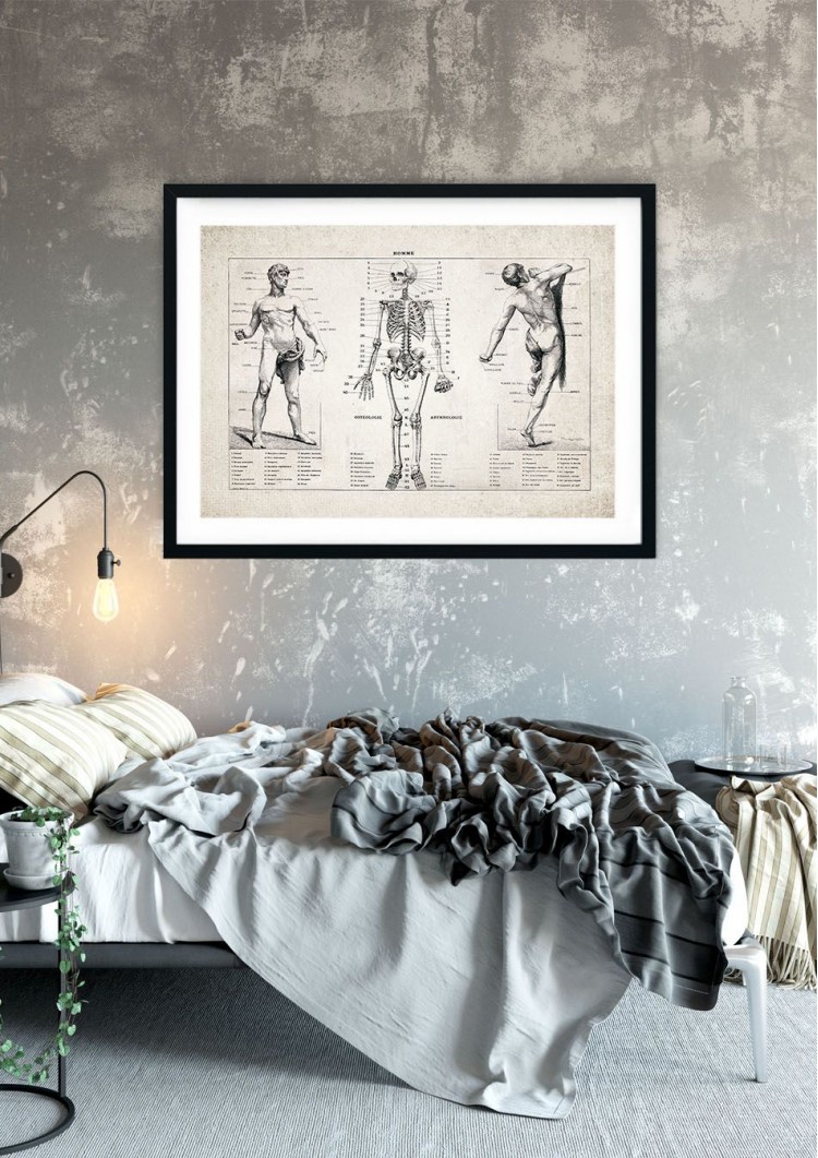 Human Skeleton Anatomy Giclee Print