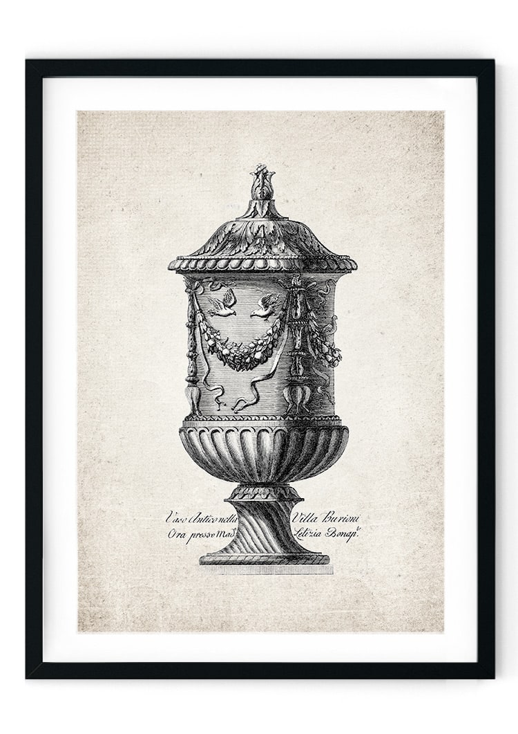 Roman Vase #3 Giclee Print
