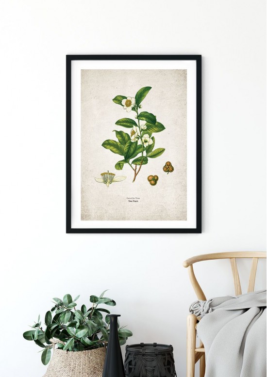 Tea Planet Kitchen Giclee Print Tea Planet Kitchen Giclee Print