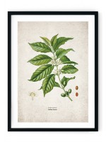 Coffee Planet Giclee Print