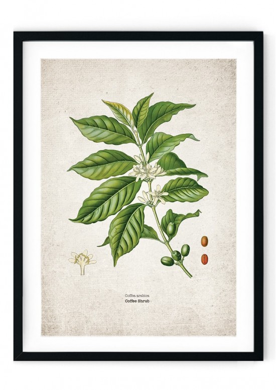 Coffee Planet Giclee Print Coffee Planet Giclee Print