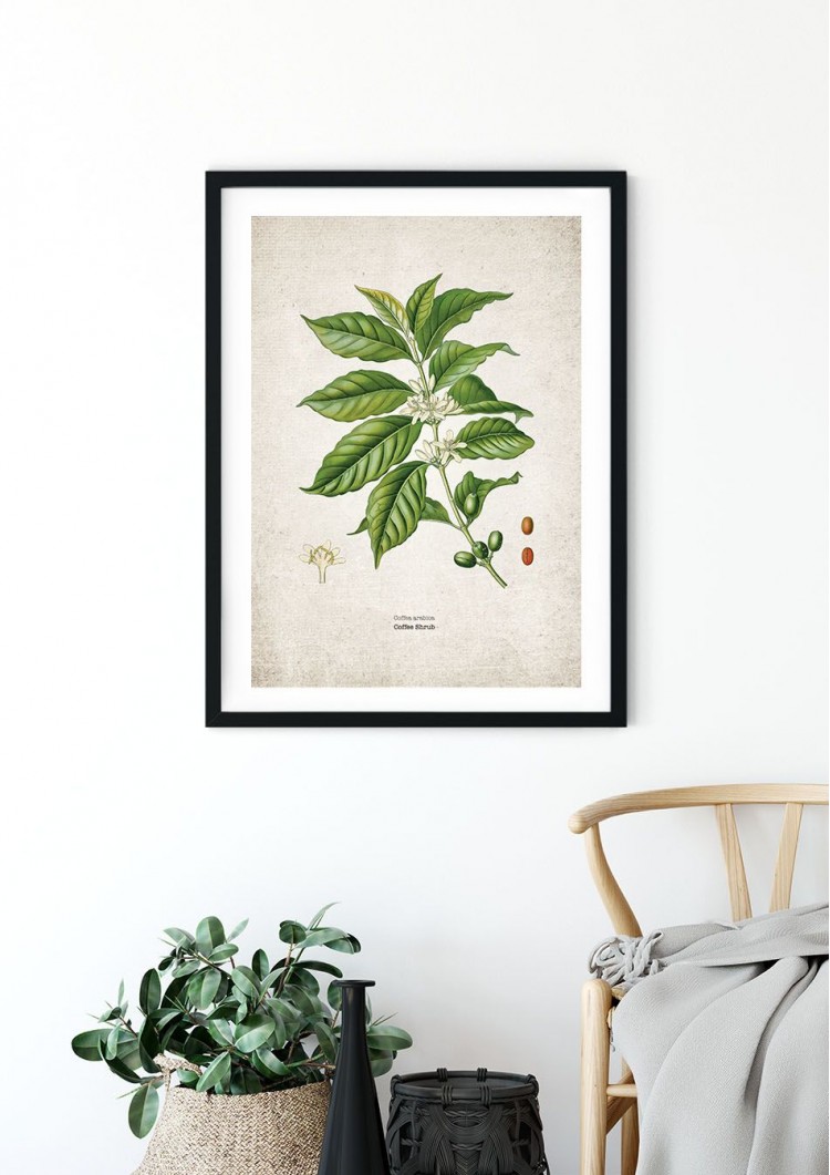Coffee Planet Giclee Print Coffee Planet Giclee Print