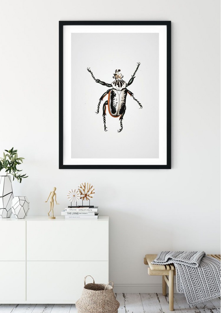 Goliath Beetle Giclee Print