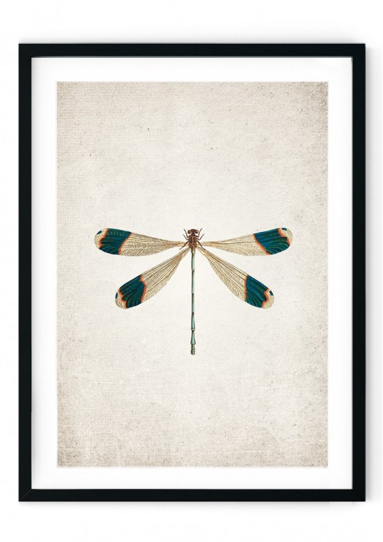 Dragon Fly Giclee Print