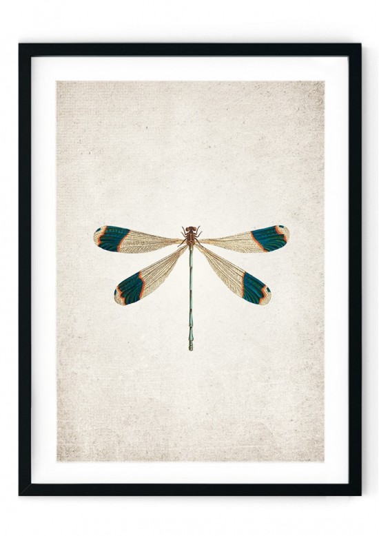 Dragon Fly Giclee Print