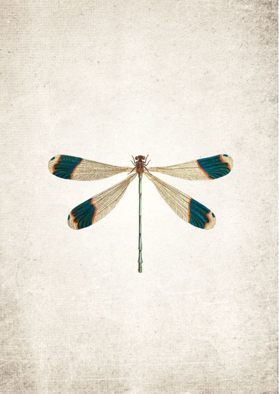 Dragon Fly Giclee Print